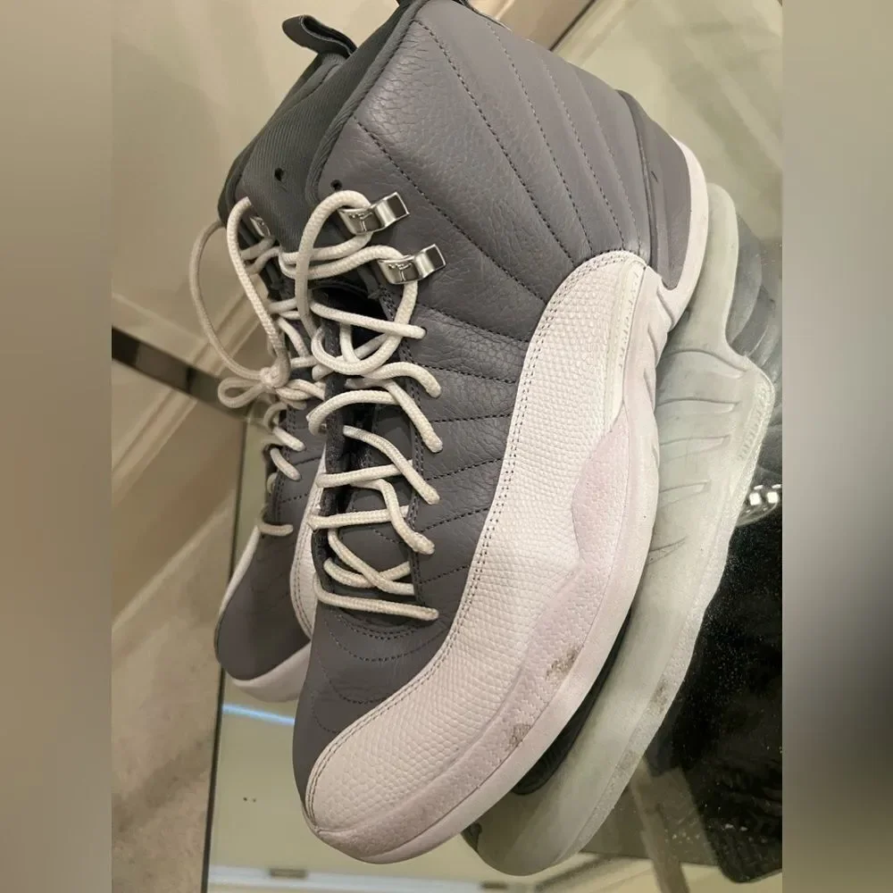 Jordan 12 stealth